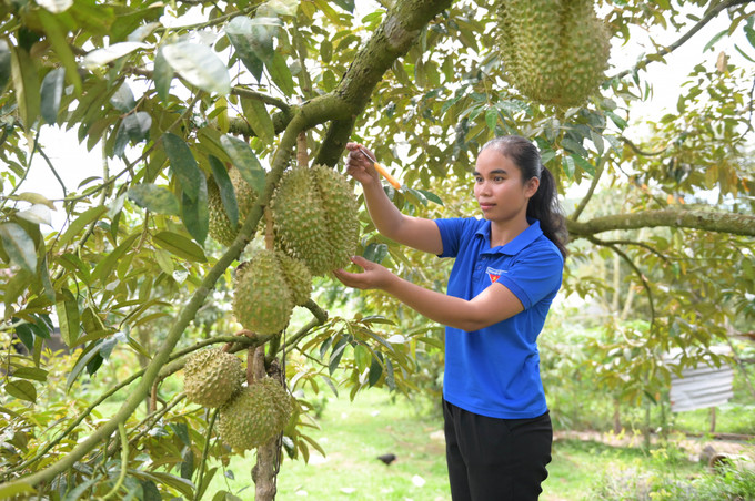 Chị Bo Bo Thị Mỵ là một tấm gương sáng ở thôn Xóm Cỏ, xã Sơn Bình, huyện Khánh Sơn (Khánh Hòa) về thoát nghèo, vươn lên làm giàu, chị còn là một Đảng viên trẻ rất tích cực tham gia các hoạt động xã hội. Ảnh: baokhanhhoa.vn Đẩy mạnh công tác phát triển đảng viên ở vùng "khó" tỉnh Khánh Hòa ảnh 1