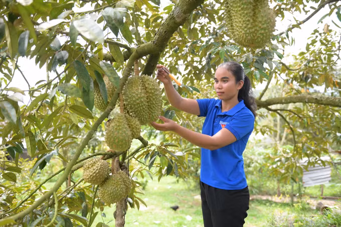 Đẩy mạnh công tác phát triển đảng viên ở vùng "khó" tỉnh Khánh Hòa ảnh 1