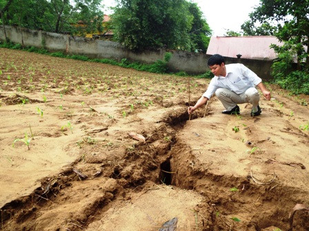 Vết nứt sâu đến 3 m qua khu vực ruộng ngô ở xã Thanh Tương, huyện Na Hang. Ảnh: vanhien.vn Tuyên Quang bố trí 80 tỷ đồng di dân ra khỏi vùng thiên tai nguy hiểm ảnh 1