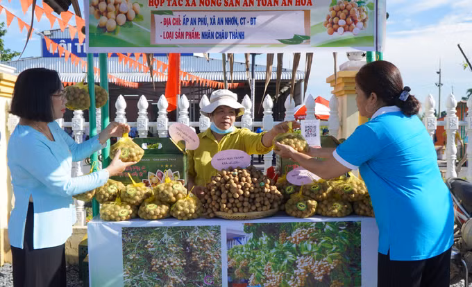 Lần đầu tiên tổ chức Ngày hội Nhãn Châu Thành (Đồng Tháp) ảnh 4