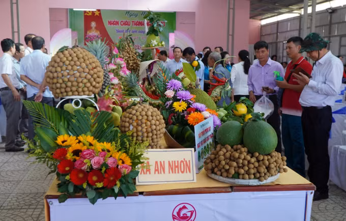 Lần đầu tiên tổ chức Ngày hội Nhãn Châu Thành (Đồng Tháp) ảnh 2