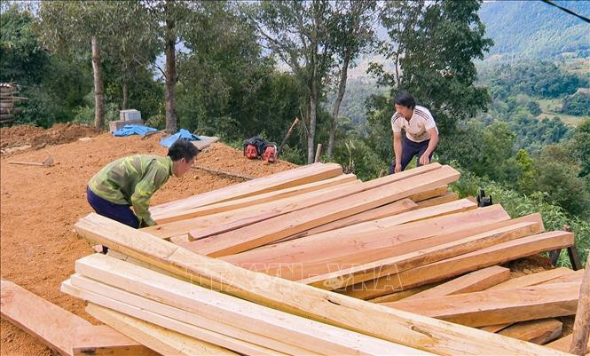 Người dân chuẩn bị gỗ để dựng nhà mới. Ảnh: Xuân Tư – TTXVN Dồn sức hoàn thiện hơn 1.000 nhà ở mới cho hộ nghèo huyện vùng cao Điện Biên Đông ảnh 5