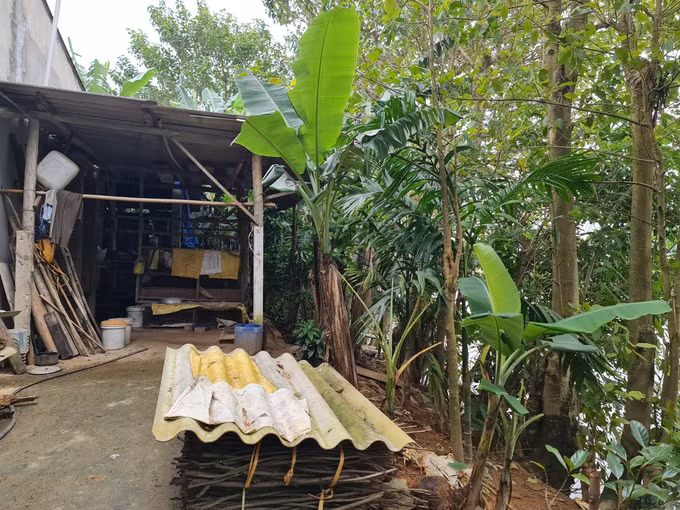 Quảng Ngãi: Sạt lở bờ sông cuốn trôi nhiều diện tích đất ở, đất sản xuất của người dân ảnh 3