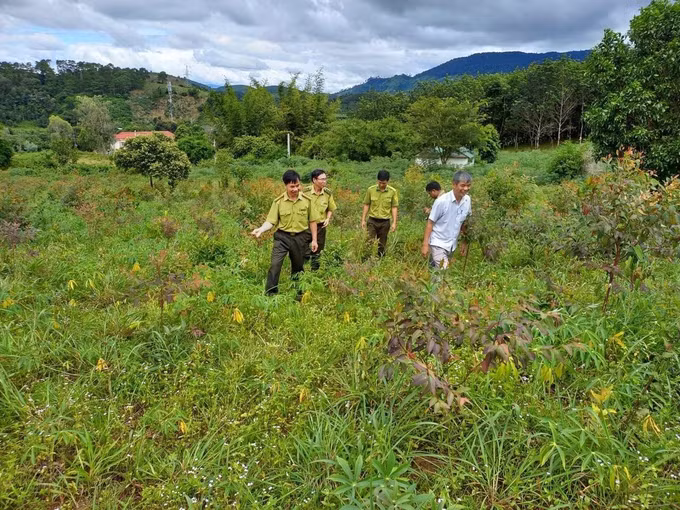Kon Tum: Bảo vệ và tận dụng phát triển sinh kế từ rừng ảnh 1