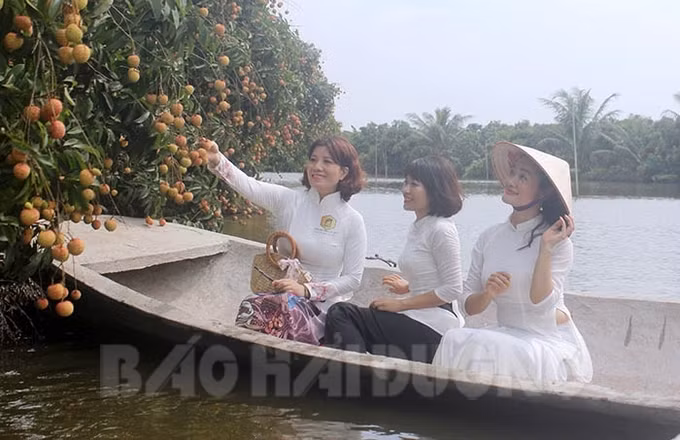 Thanh Hà cần gắn dịch vụ du lịch sinh thái với thương hiệu vải thiều ảnh 1