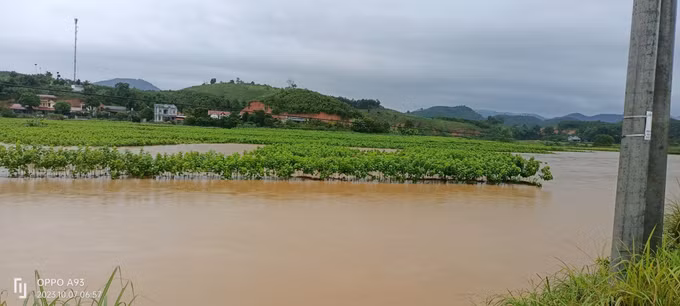 Mưa lớn gây nhiều thiệt hại tại Yên Bái, tạm dừng chạy tàu tuyến Hà Nội - Lào Cai ảnh 1