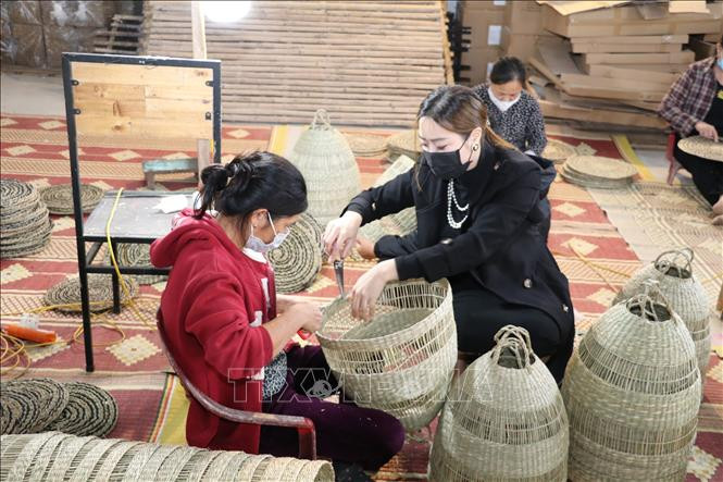 Thương hiệu Cói Việt đã tạo được ấn tượng trong nước và vươn ra cả thế giới. Ảnh: Đức Phương - TTXVN Trần Thùy Nhi - Người phụ nữ mang cói Việt ra thế giới ảnh 3