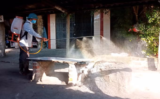 Quảng Ngãi: Phát hiện sớm, xử lý triệt để dịch bệnh trên đàn gia súc, gia cầm ảnh 1