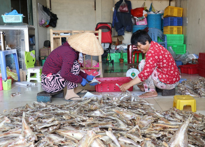 Phân loại khô thành phẩm để mang ra thị trường tiêu thụ. Ảnh: Hữu Chí - TTXVN Người dân vùng biển tăng thu nhập từ chế biến cá khô ảnh 5