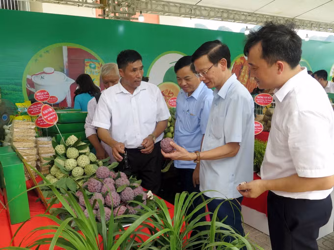 Thái Nguyên kết nối tiêu thụ sản phẩm na và các nông sản chủ lực ảnh 3