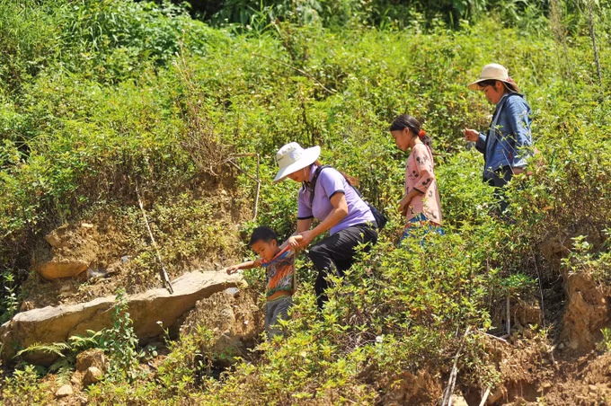 Nỗ lực vận động học sinh vùng cao Mèo Vạc quay trở lại trường sau hè ảnh 5
