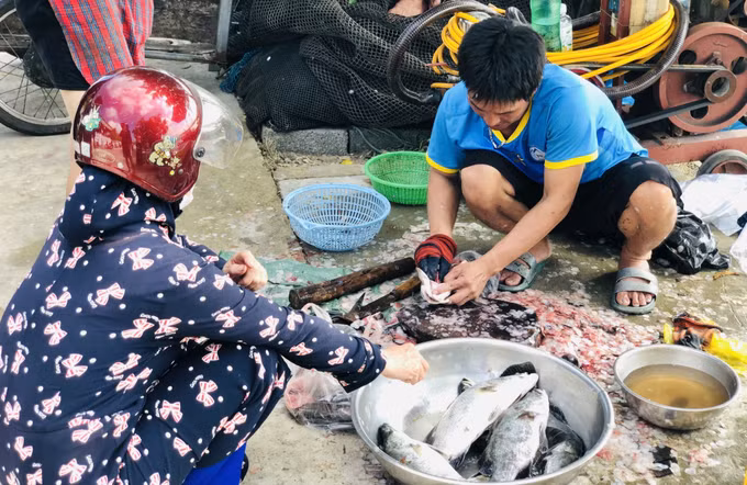 Hà Tĩnh: Hơn 50 tấn cá nuôi lồng bè bị chết vì sốc nước ảnh 3