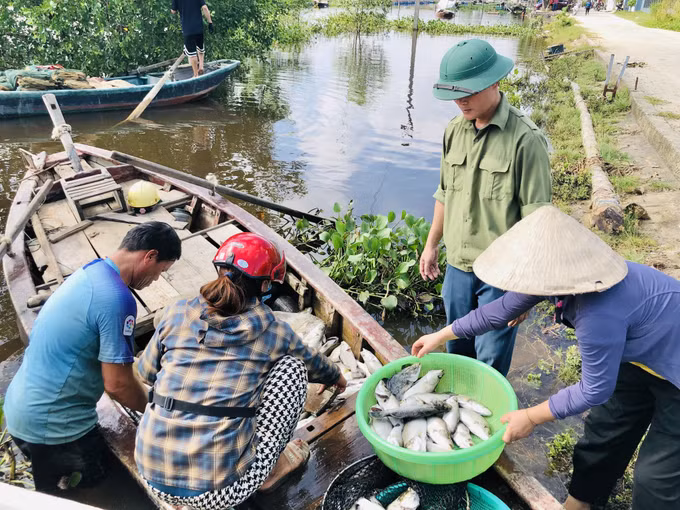 Hà Tĩnh: Hơn 50 tấn cá nuôi lồng bè bị chết vì sốc nước ảnh 1
