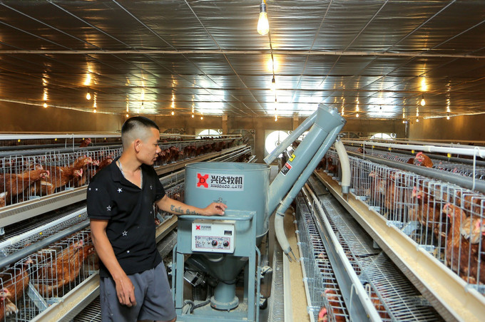Khu chuồng lạnh được đầu tư máy cho ăn tự động và uống nước tự động nên giảm được chi phí nhân công. Ảnh: Đinh Văn Nhiều-TTXVN Mô hình chăn nuôi gia cầm khép kín cho hiệu quả kinh tế cao của ông Trần Văn Tường ảnh 2