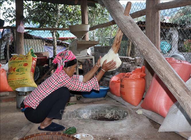 Phụ nữ Hà Nhì giã bánh dày chế biến từ nguyên liệu nếp nương có đặc tính thơm, dẻo để sử dụng trong dịp Tết và làm quà biếu khách chúc Tết gia đình. Ảnh: Xuân Tiến – TTXVN Vui Tết cổ truyền Hồ Sự Chà của dân tộc Hà Nhì nơi cực Tây của Tổ quốc ảnh 7