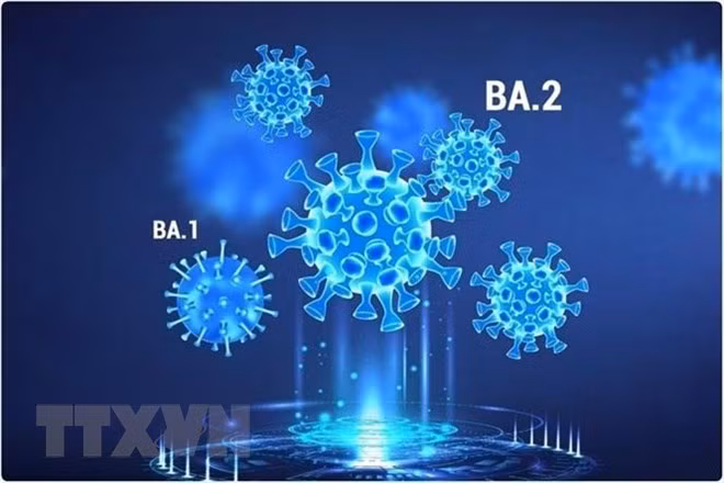 Triệu chứng nhiễm Omicron gây tác động khác nhau ở nam giới và nữ giới ảnh 1