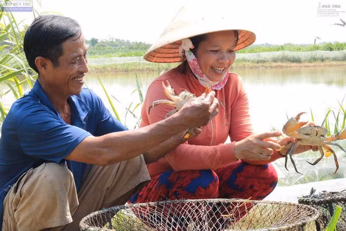 Bến Tre xây dựng các mô hình sinh kế bền vững ảnh 1