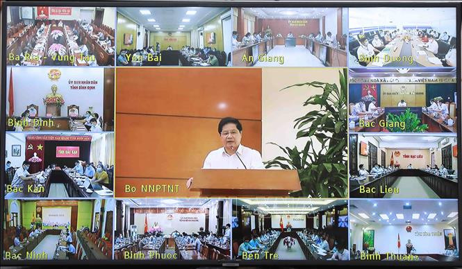 Tham dự hội nghị có các bộ ngành Trung ương có liên quan và 63 tỉnh, thành phố. Ảnh: Vũ Sinh - TTXVN Dịch COVID-19: Sẽ lập tổ liên ngành giải quyết vướng mắc trong sản xuất, tiêu thụ nông sản ảnh 2