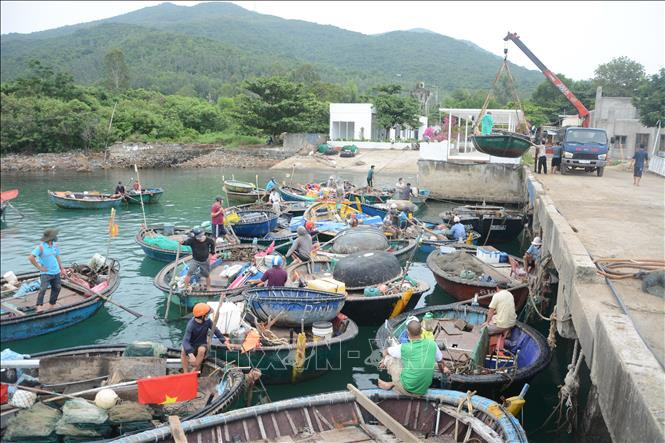 Nhiều thuyền ở ven biển Thọ Quang chờ được cẩu lên bờ tránh bão. Ảnh: Văn Dũng -TTXVN Bão số 5 gây mưa rất to tại Trung Bộ từ ngày 11-14/9, kịp thời các phương án ứng phó ảnh 1
