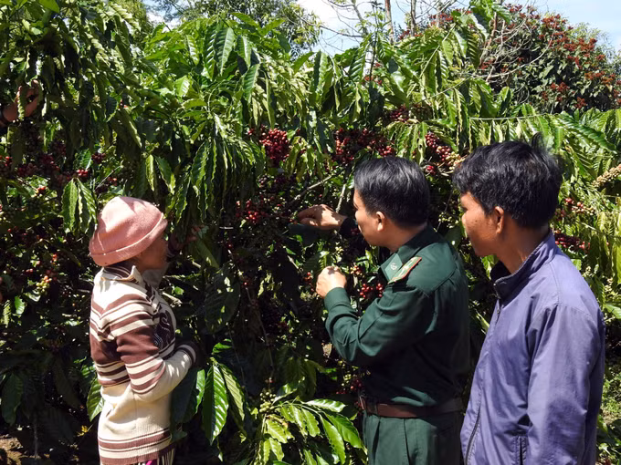 Xuân về trên biên giới Kon Tum ảnh 2