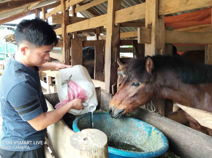 Mỗi ngày, anh Đào Duy Thắng (xã Mã Ba, huyện Hà Quảng) phải dùng xe máy chở 400 lít nước xa 5km để phục vụ sinh hoạt và chăn nuôi gia súc. Ảnh: Quốc Đạt - TTXVN Giải pháp cho tình trạng thiếu nước ở Lục Khu (Cao Bằng) ảnh 3