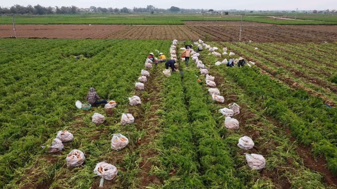 Nhìn lại nửa nhiệm kỳ Đại hội XIII: Nông nghiệp thành “trụ chính”, nông dân là tâm điểm ảnh 2