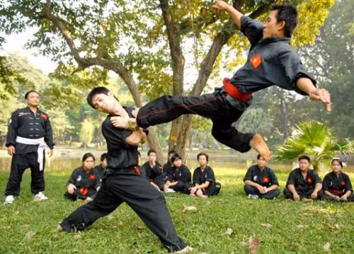 Bảo tồn, phát huy giá trị võ cổ truyền Bình Định (Bài 2) ảnh 1
