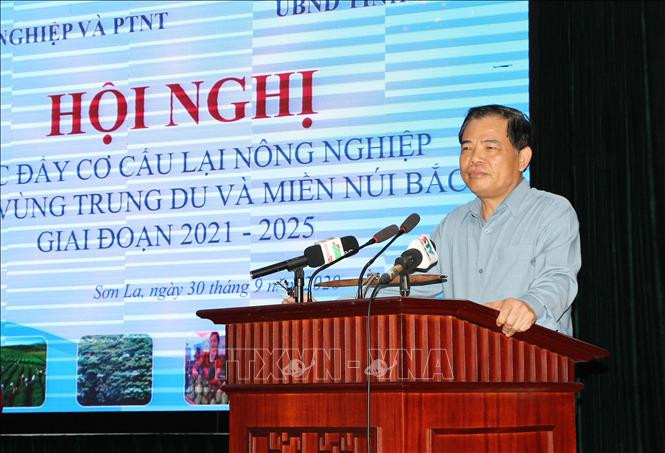 Bộ trưởng Bộ Nông nghiệp và Phát triển nông thôn Nguyễn Xuân Cường phát biểu tại Hội nghị. Ảnh: Nguyễn Cường - TTXVN Thúc đẩy cơ cấu lại nông nghiệp các tỉnh Trung du và miền núi Bắc Bộ ảnh 1