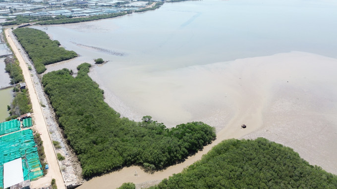 Đầm Nại (Ninh Hải, Ninh Thuận) được “hồi sinh” với những cánh rừng ngập mặn xanh tốt góp phần ứng phó với biến đổi khí hậu, bảo tồn đa dạng sinh học. Ảnh: Nguyễn Thành - TTXVN Ninh Thuận: Bảo tồn đa dạng sinh học để phát triển bền vững ảnh 1