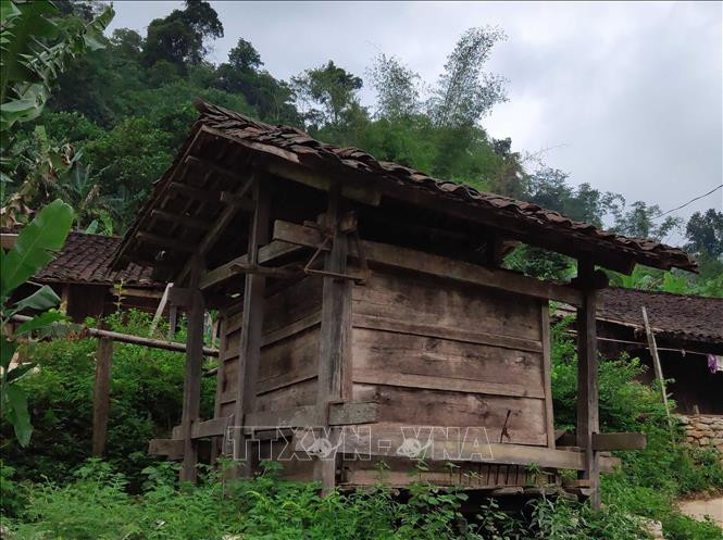 Người dân xóm Hoài Khao không dùng bồ để chứa thóc, họ dựng những căn nhà gỗ nhỏ làm kho chứa, trông rất độc đáo, lạ mắt. Ảnh: Quốc Đạt - TTXVN Xóm Hoài Khao – nơi bảo tồn môi trường sinh thái, văn hóa cổ truyền của người Dao Tiền ở Cao Bằng ảnh 5