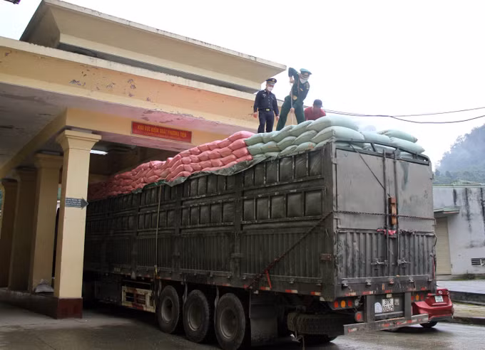 “Lá chắn thép” ngăn chặn tội phạm ma túy ở vùng biên Nghệ An ảnh 3