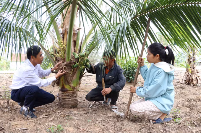 Nhiều mô hình giúp người dân tộc ở K'bang phát triển kinh tế gia đình ảnh 4