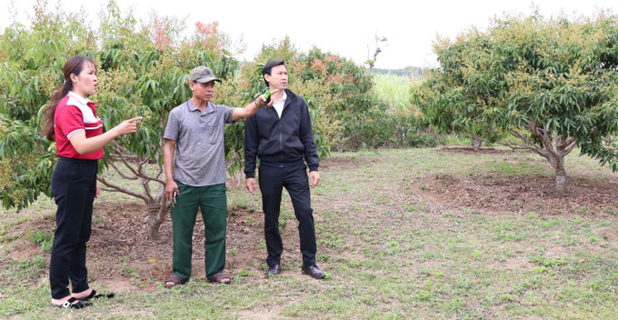 Gia đình ông Đinh Văn Hanh, cùng làng Tờ Mật cũng đang sở hữu mô hình vườn ao chuồng với thu nhập trừ chi phí hơn 500 triệu đồng mỗi năm. Ảnh: Hồng Điệp - TTXVN Nhiều mô hình giúp người dân tộc ở K'bang phát triển kinh tế gia đình ảnh 3