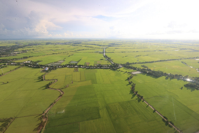 Cánh đồng lúa thuộc vùng Đồng bằng sông Cửu Long nhìn từ trên cao. Ảnh: Dương Giang-TTXVN Thứ trưởng Trần Thanh Nam: Xây dựng chuỗi giá trị lúa gạo bền vững gắn với tăng trưởng xanh ảnh 1