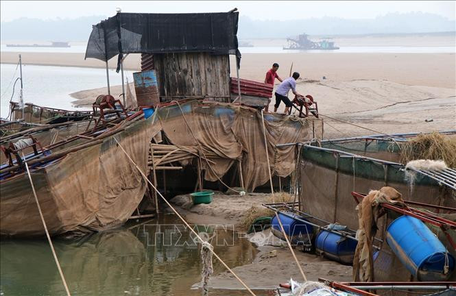 Nước cạn khiến nhiều lồng và nhà bè nổi trên cát, người dân mong nhà máy thủy điện Hòa Bình xả nước để hạn chế cá chết. Ảnh: Trung Kiên - TTXVN. Nước cạn, nghề nuôi cá lồng trên sông Đà gặp khó ảnh 1