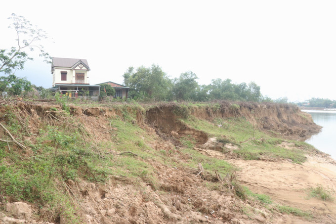 Sạt lở bờ sông Thạch Hãn tiến gần vào nhà dân đoạn qua xã Triệu Giang, huyện Triệu Phong (Quảng Trị). Ảnh: Nguyên Lý-TTXVN Đề xuất hỗ trợ khắc phục sạt lở bờ sông Thạch Hãn ảnh 1
