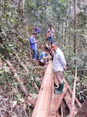Điều tra vụ phá rừng đặc dụng Cham Chu ảnh 1
