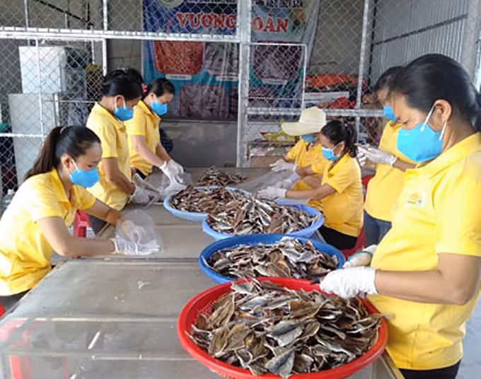 Quảng Bình quảng bá sản phẩm OCOP qua kênh thương mại điện tử ảnh 1