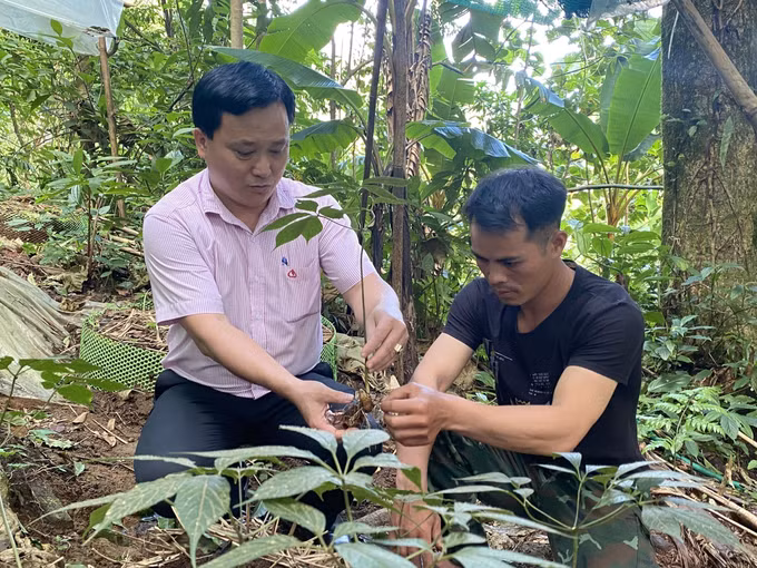 Kon Tum: Hiệu quả từ Chương trình mục tiêu Quốc gia giảm nghèo bền vững ảnh 2
