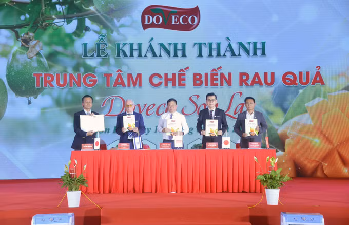 Khánh thành Trung tâm chế biến rau, quả Doveco Sơn La ảnh 5