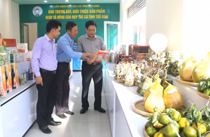 Trà Vinh giới thiệu sản phẩm OCOP và nông sản hợp tác xã ảnh 1