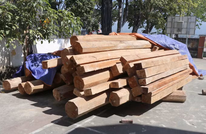 Kiểm lâm Điện Biên phát hiện vụ tàng trữ trái phép hơn 26m3 gỗ tại xã Phu Luông ảnh 1