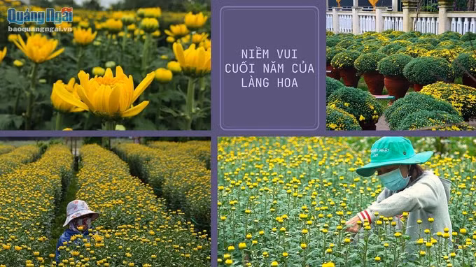 Làng hoa Tết lớn nhất miền Trung được mùa, trúng giá ảnh 1