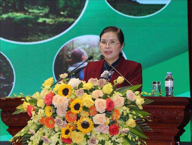 Bí thư Tỉnh ủy Lai Châu Giàng Páo Mỷ phát biểu tại Hội nghị. Ảnh: Đinh Thùy-TTXVN Đánh giá tiềm năng phát triển kinh tế dưới tán rừng vùng Trung du và miền núi phía Bắc ảnh 3
