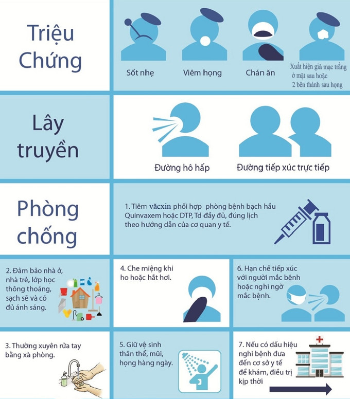 Dấu hiệu nhận biết bệnh bạch hầu. Ảnh: cuocsongantoan.vn Bình Phước ghi nhận ca mắc bạch hầu thứ hai ảnh 1