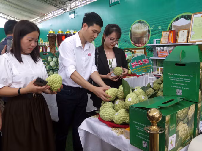 Khai mạc Lễ hội "Võ Nhai mùa na chín" ảnh 4