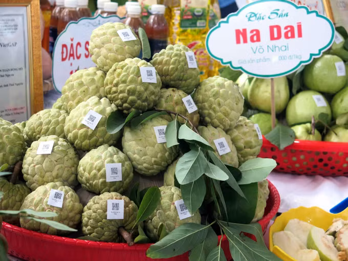 Khai mạc Lễ hội "Võ Nhai mùa na chín" ảnh 1