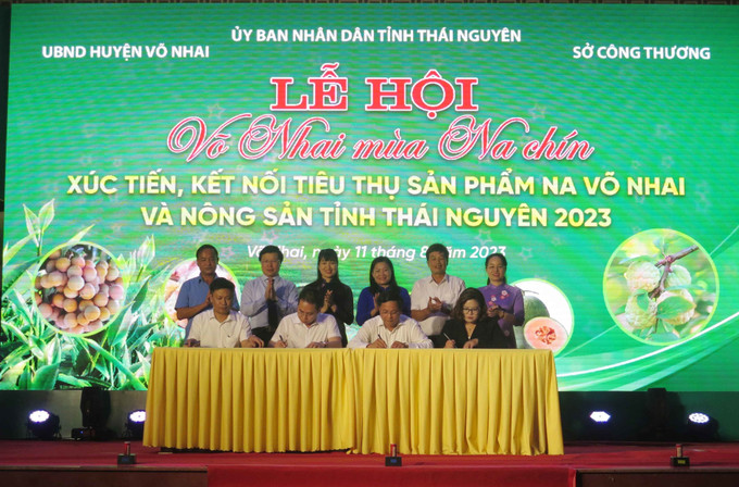 Đại diện các doanh nghiệp và các hợp tác xã, lãnh đạo huyện Võ Nhai ký kết tiêu thụ sản phẩm na và các loại nông sản tỉnh Thái Nguyên. Ảnh: Trần Trang-TTXVN Khai mạc Lễ hội "Võ Nhai mùa na chín" ảnh 3