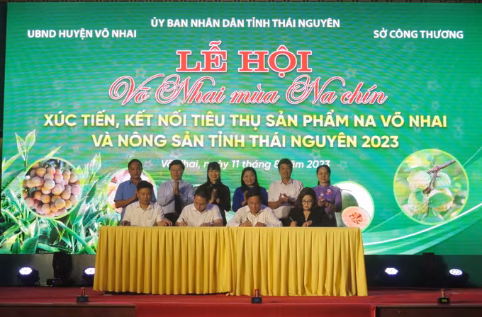 Khai mạc Lễ hội "Võ Nhai mùa na chín" ảnh 3