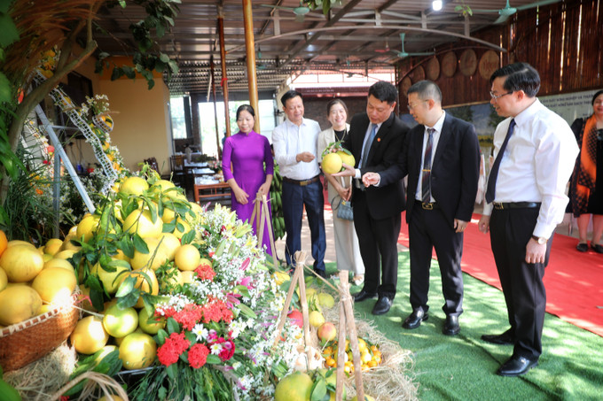Các đại biểu tham quan gian bán hàng và thưởng thức cam, bưởi tại vườn. Ảnh: Danh Lam - TTXVN Xúc tiến tiêu thụ trên 65 nghìn tấn trái cây Lục Ngạn ảnh 3